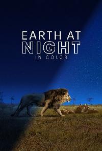 Earth At Night In Color